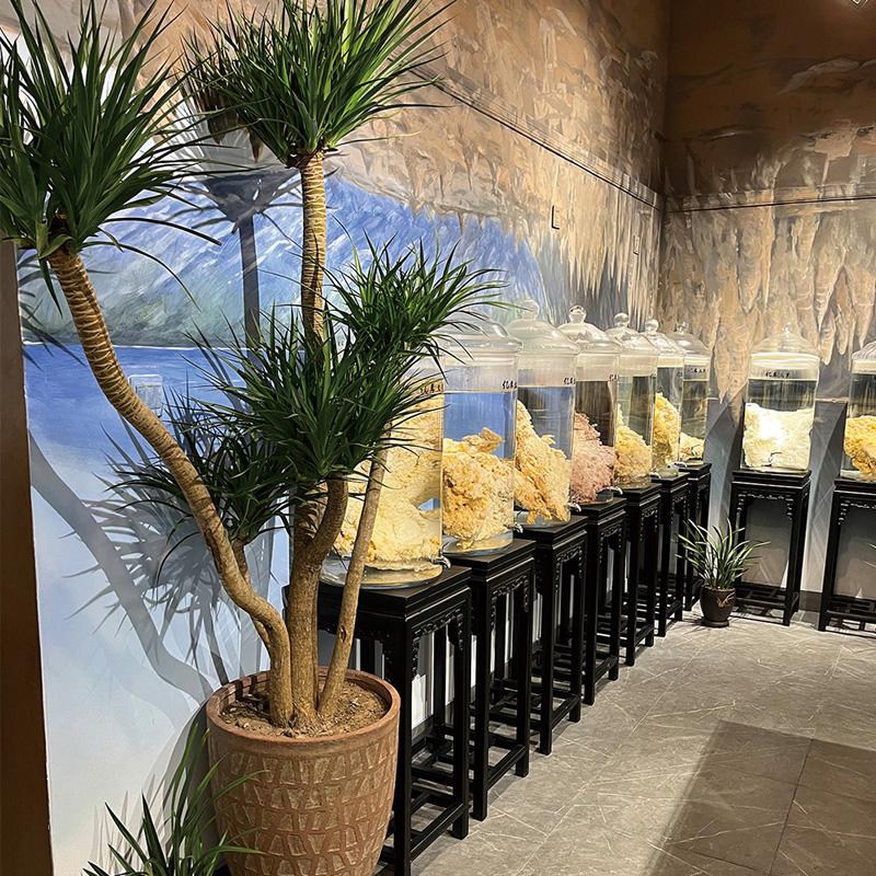 石太岁展厅